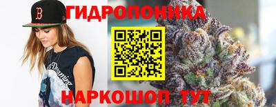 прущие крисы Малгобек