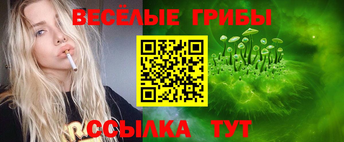 Галлюциногенные грибы ЛСД Тимашёвск